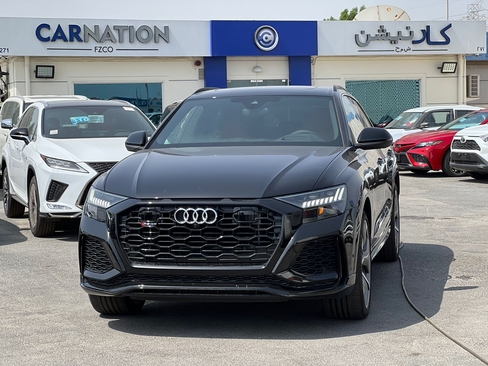 carnation's Product Image