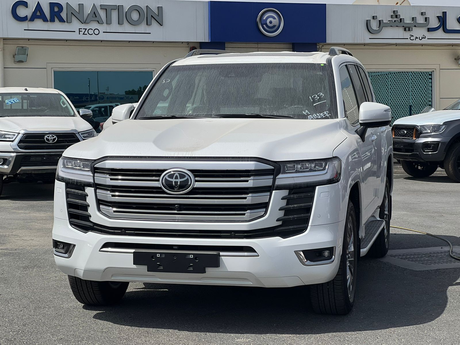 carnation's Product Image