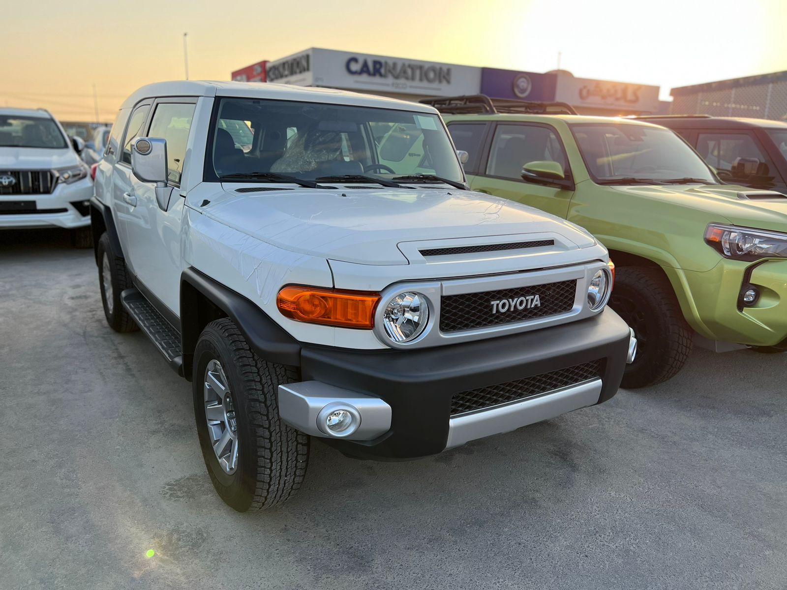 carnation's Product Image