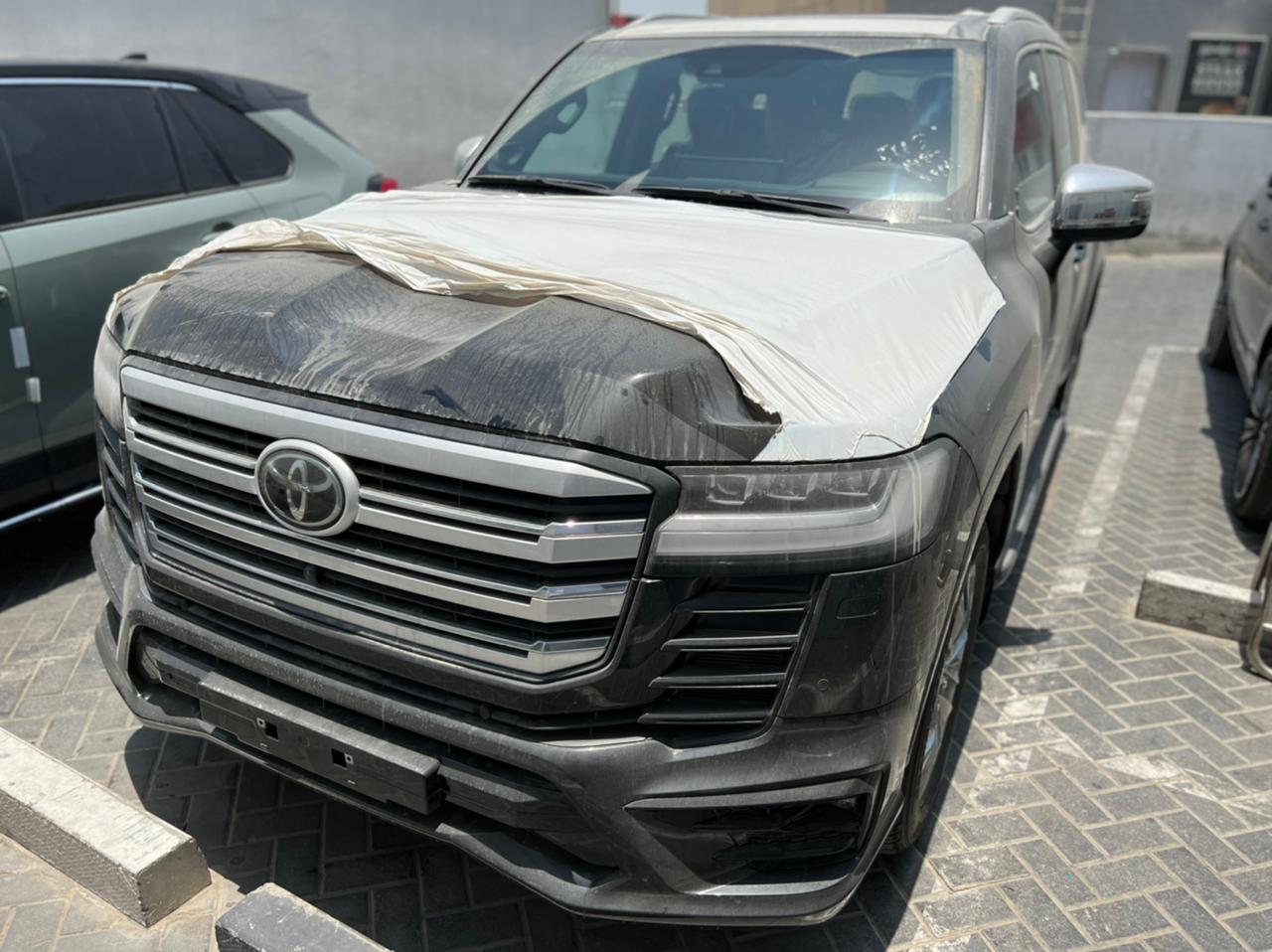 carnation's Product Image