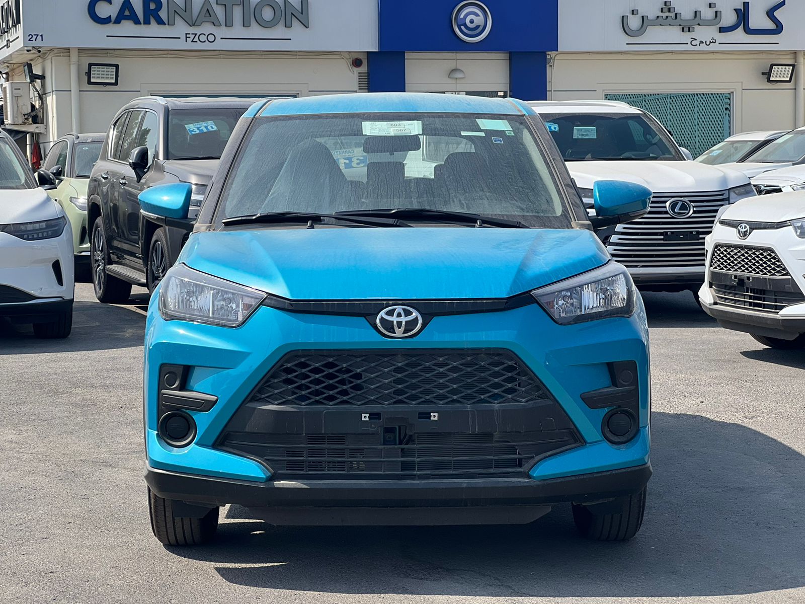 carnation's Product Image