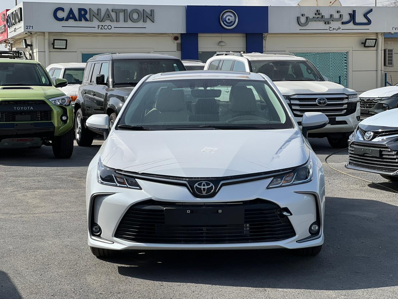 carnation's Product Image