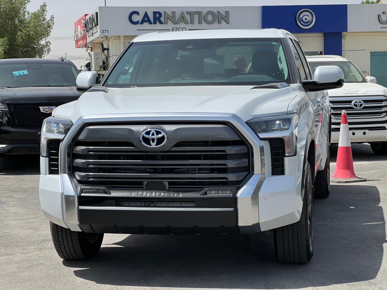 carnation's Product Image