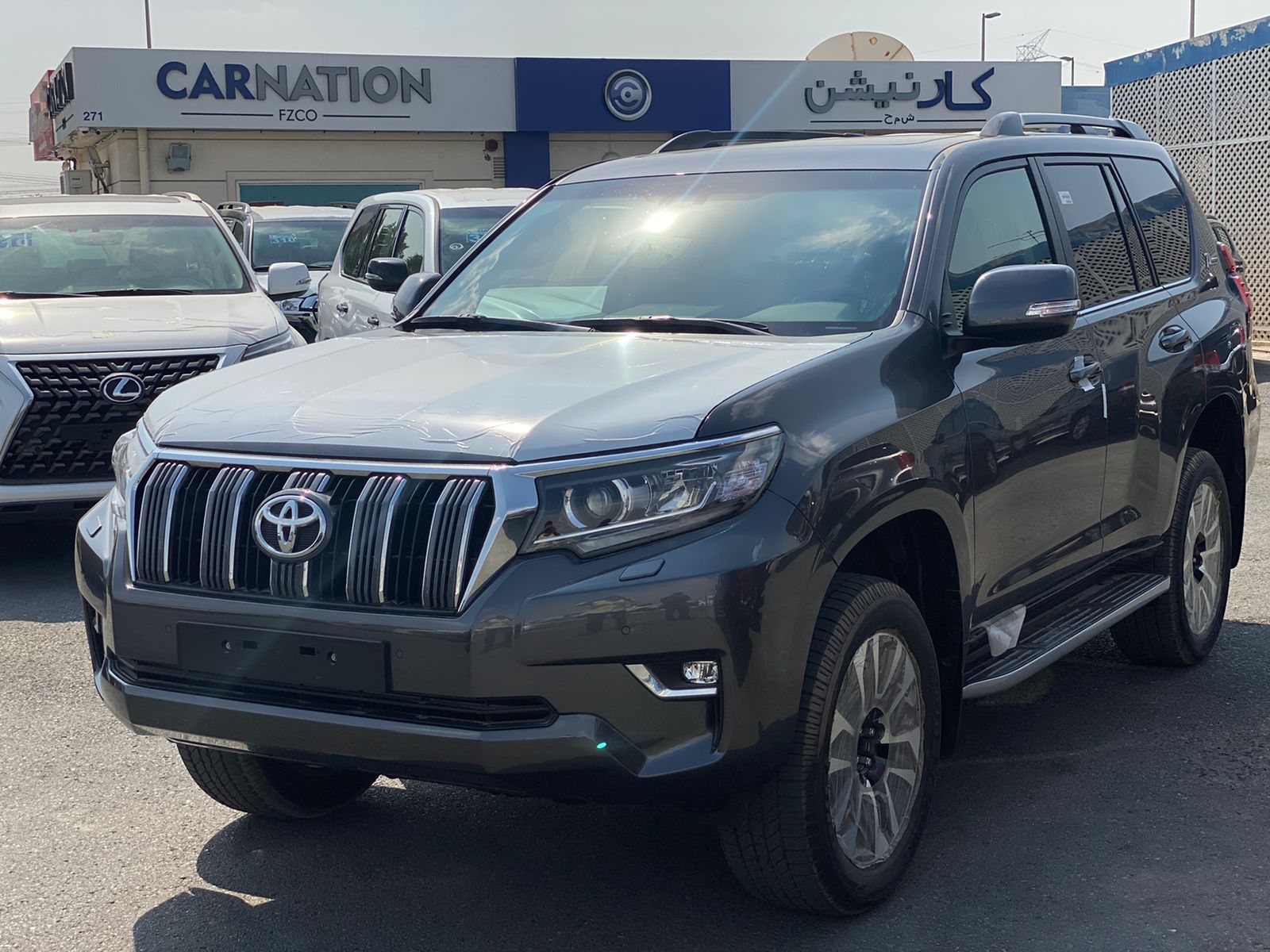 carnation's Product Image